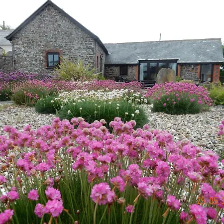 Downe Cottages Hartland Exterior foto